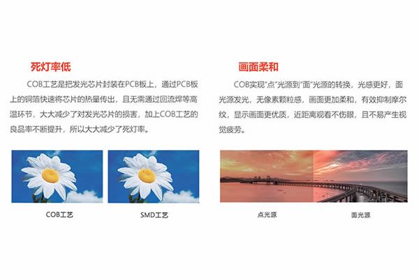 COB封装逆势登顶：2026年小间距LED市场“量增额减”背后的技术洗牌